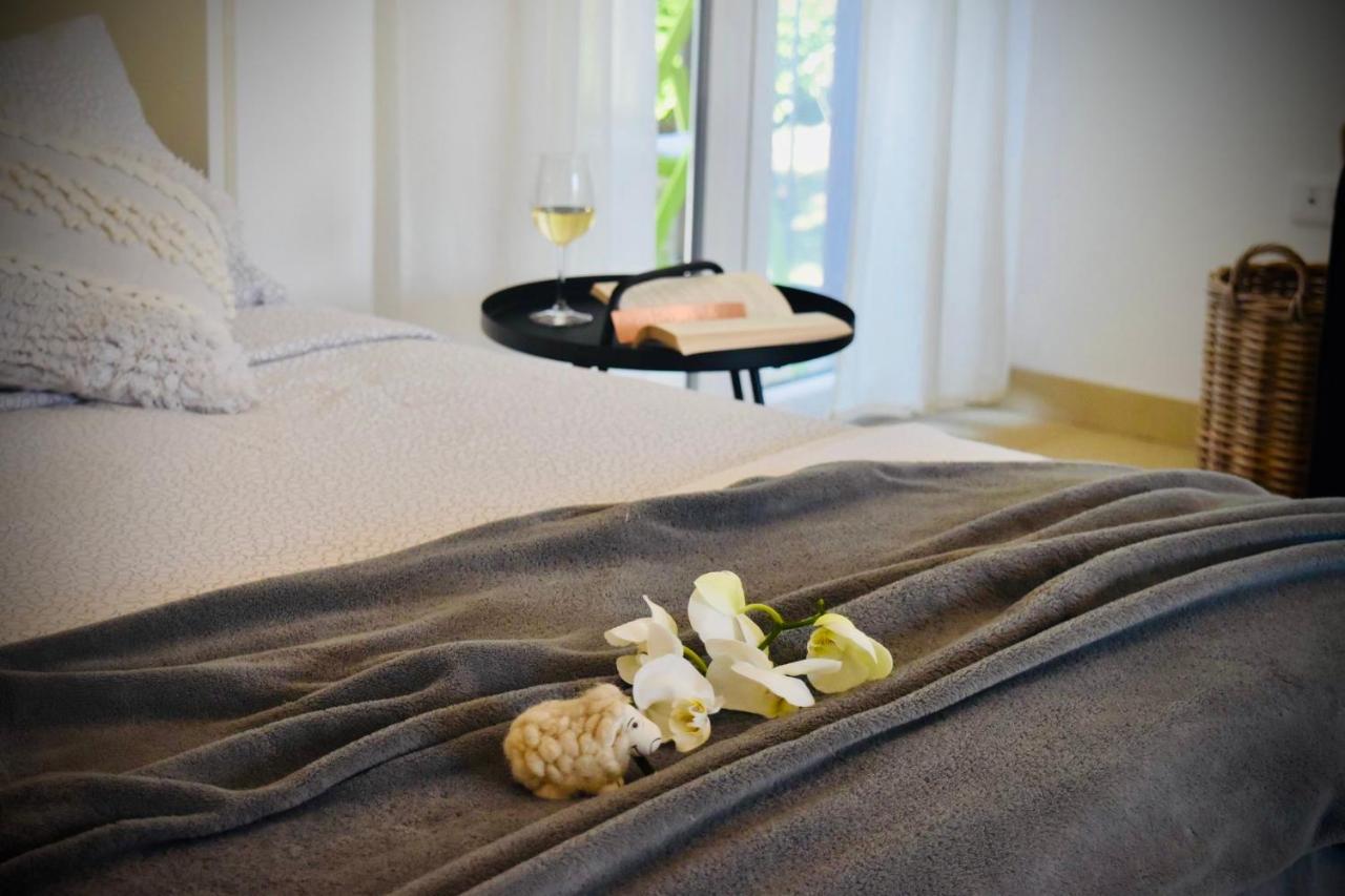 Studio Apartment Stazion With Free Parking Pazin Ngoại thất bức ảnh