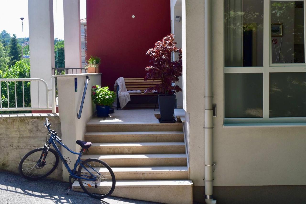 Studio Apartment Stazion With Free Parking Pazin Ngoại thất bức ảnh